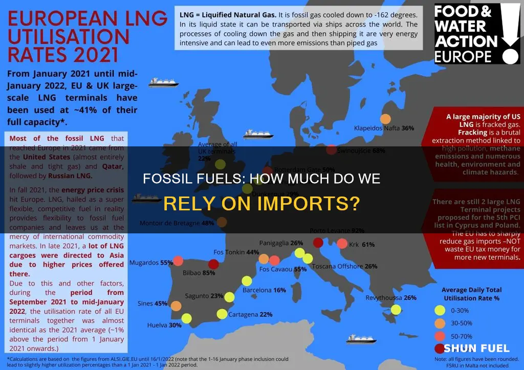 how much us fossil fuels ar eimprted percent