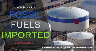 The US Fossil Fuel Addiction: Importing Energy