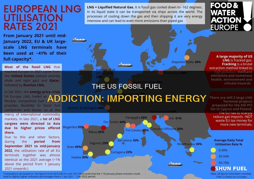 how much us fossil fuels imported