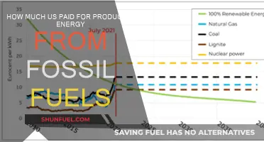 The True Cost of Fossil Fuel Energy Production