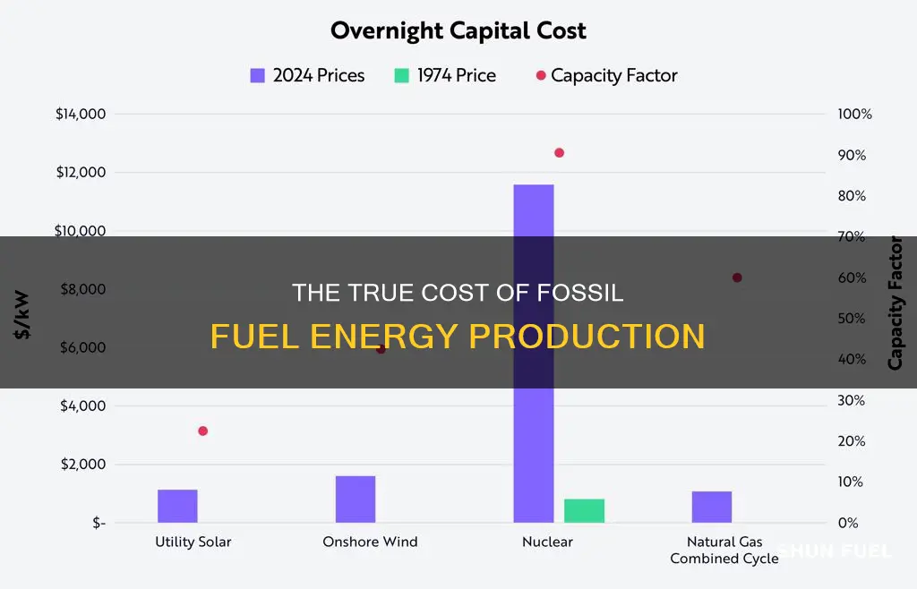 how much us paid for producing energy from fossil fuels