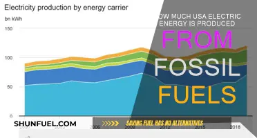 Fossil Fuels' Role in US Energy Production