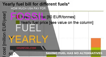 The US's Annual Fossil Fuel Bill: A Costly Affair