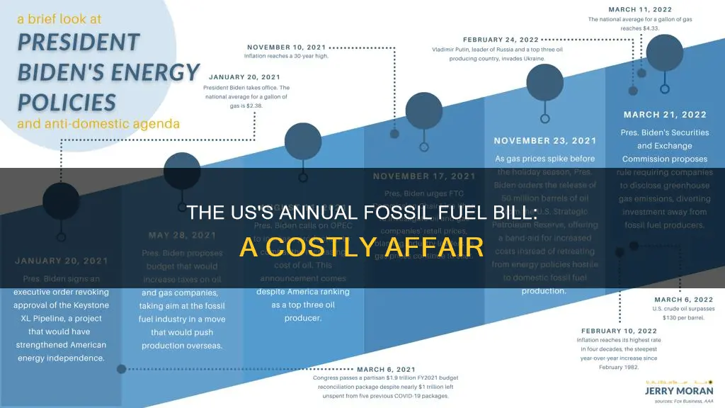 how much usa pay for fossil fuel yearly