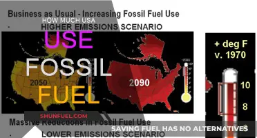 America's Fossil Fuel Consumption: A Troubling Reality