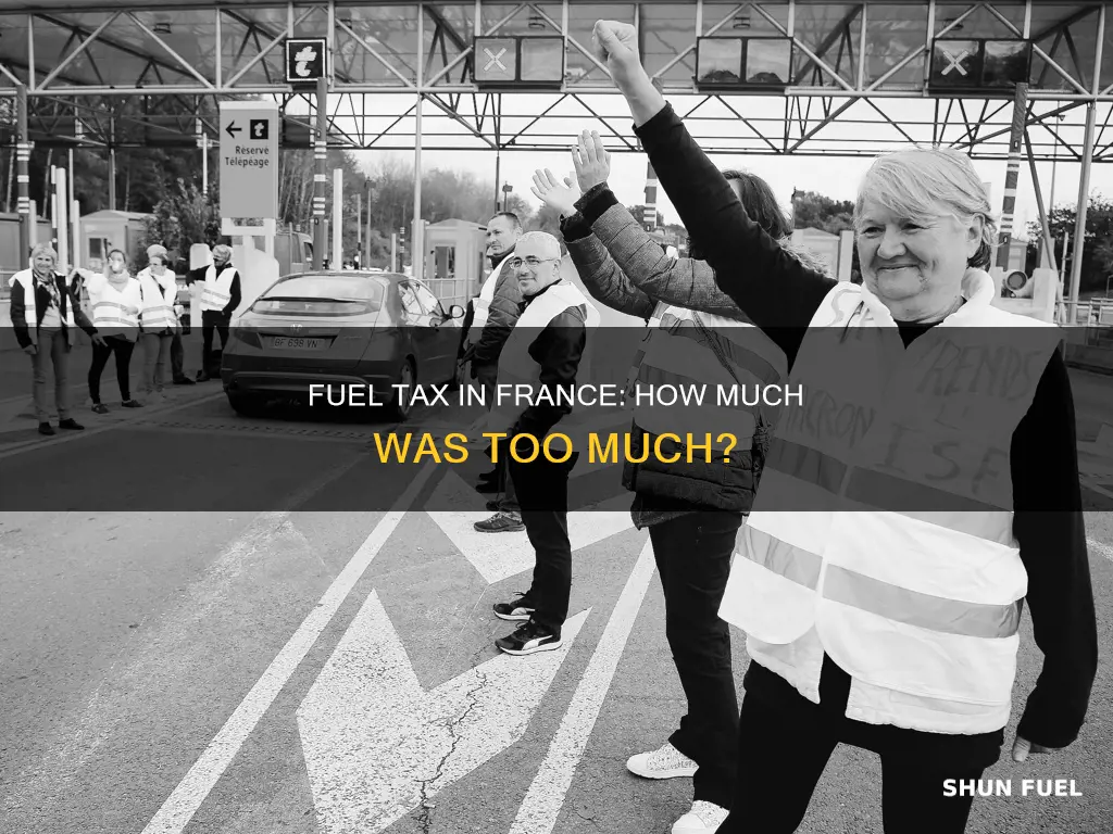 how much was france fuel tax