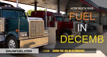 Fuel Prices in December: A Costly Month