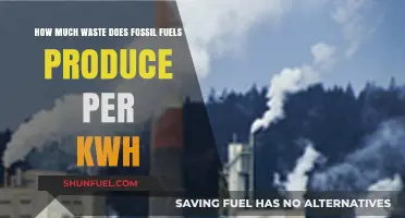Fossil Fuels' Hidden Cost: Waste Production per kWh Revealed