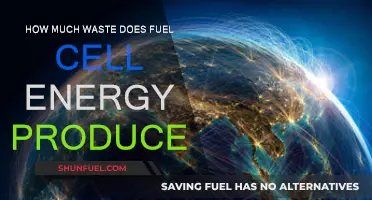 Fuel Cell Energy: Waste and Efficiency Explored