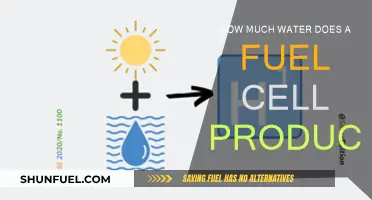 Fuel Cells: Water Generation and Efficiency