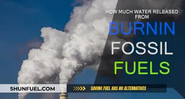 Water Impact of Fossil Fuel Burning