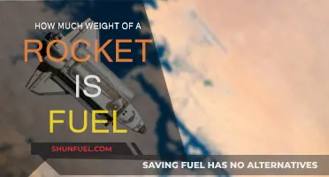 Rocket Fuel: The Weighty Cost of Spaceflight