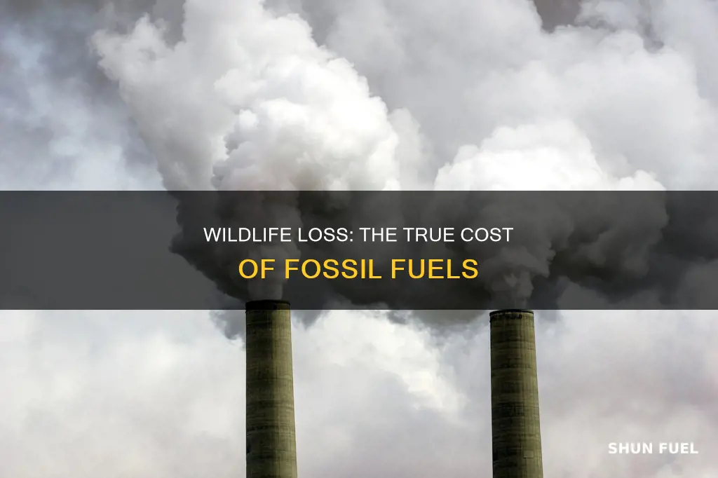 how much wildlife does fossil fuels kill