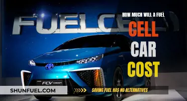 The Price of Hydrogen: Fuel Cell Cars and Their Cost