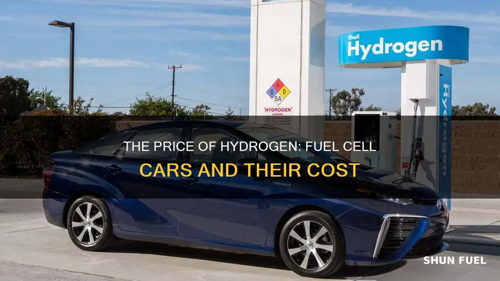 how much will a fuel cell car cost