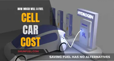The Future of Fuel Cell Cars: Cost Analysis