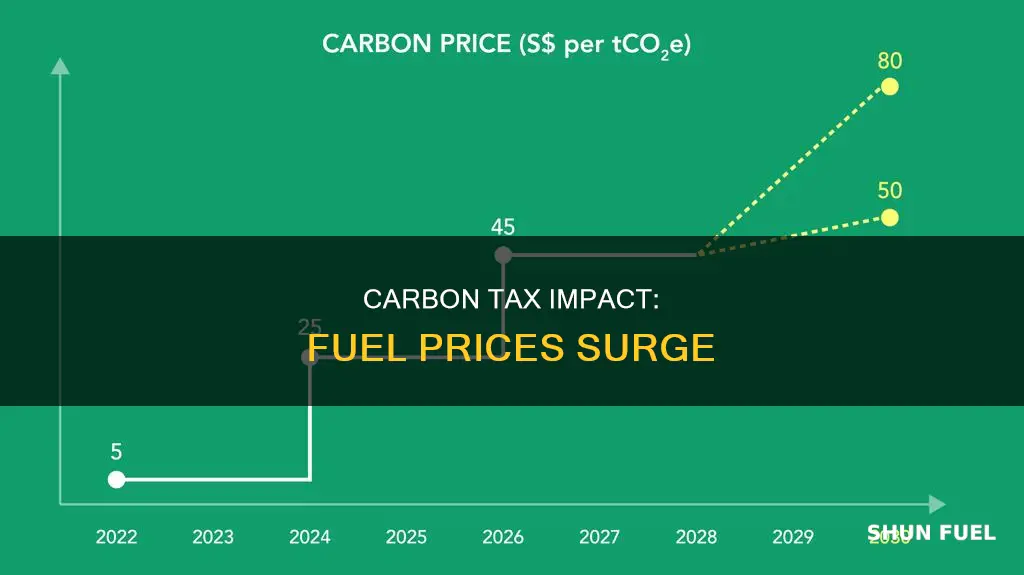 how much will carbon tax increase fuel prices