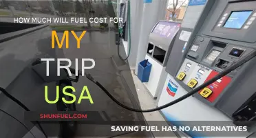Fuel Costs for a USA Road Trip