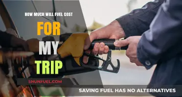 Fuel Costs: Planning a Trip on a Budget