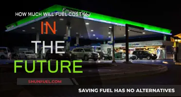 The Future of Fuel: Cost Predictions