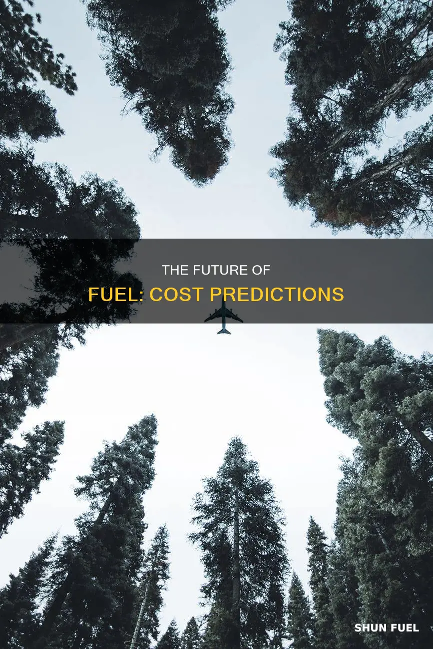 how much will fuel cost in the future