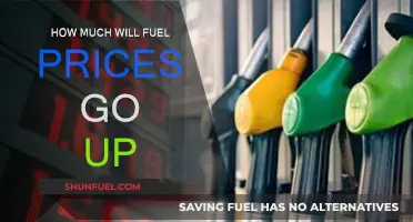 The Rising Cost of Fuel: How High Will Prices Go?