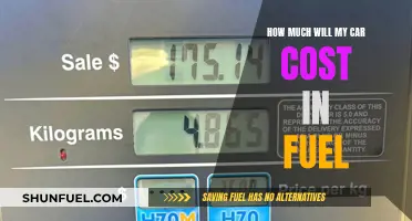 Fuel Costs: Understanding Your Car's Thirst