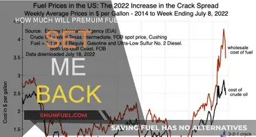 The True Cost of Premium Fuel: How Much More?