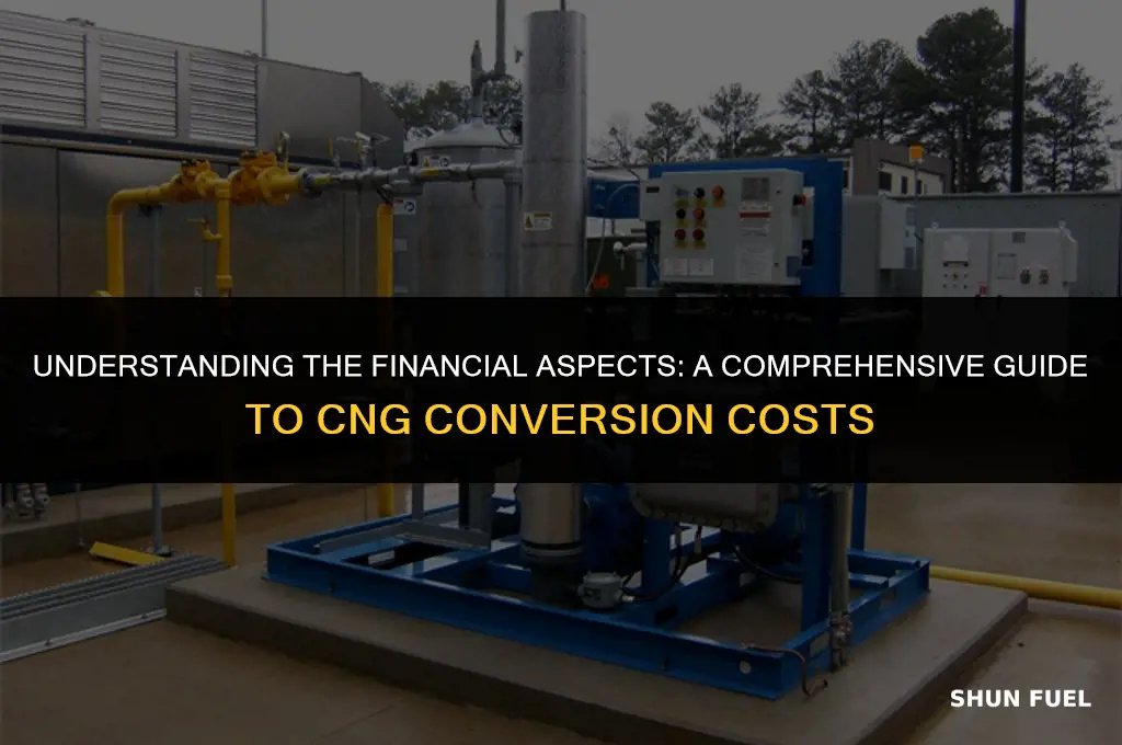 how much will the whole cng process cost