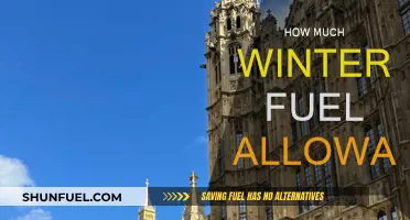 Winter Fuel Allowance: Understanding Your Government Benefits