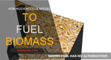 Biomass Fuel: How Much Wood is Needed?
