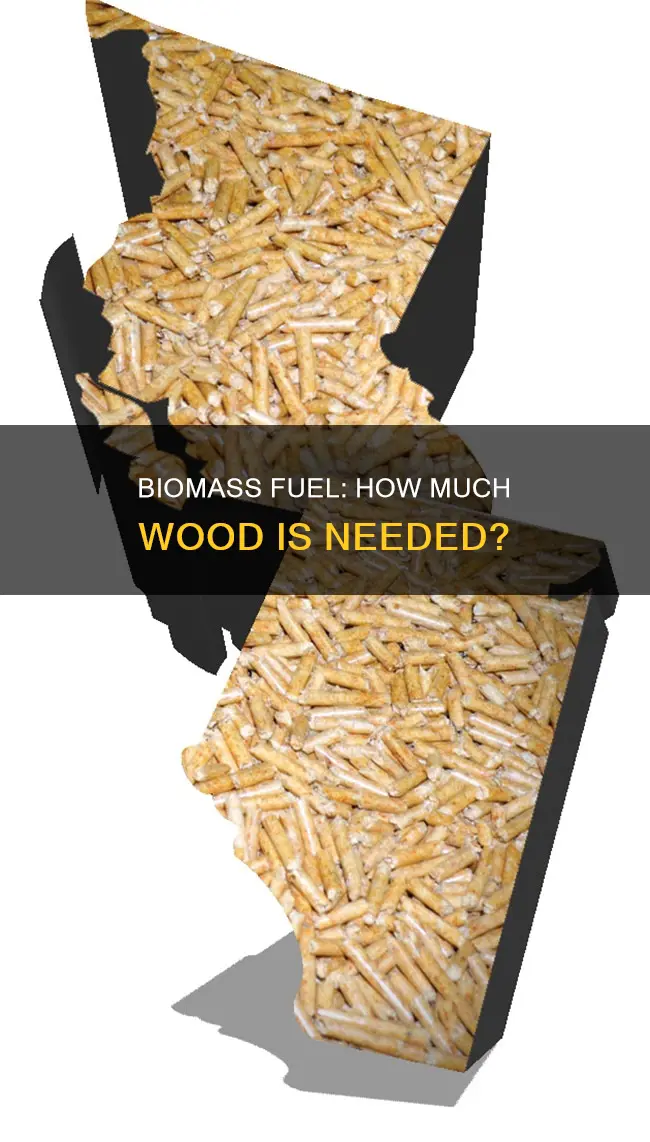 how much wood is needed to fuel biomass