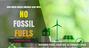 America's Clean Energy Shift: Potential Savings Without Fossil Fuels