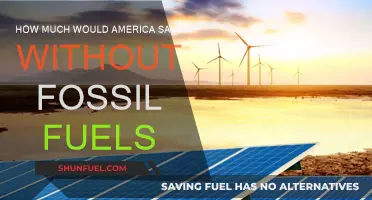 America's Fossil Fuel-Free Future: Billions Saved