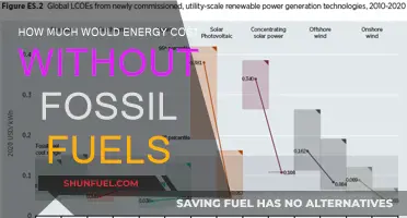 The Future of Energy: A Fossil-Free Cost Analysis