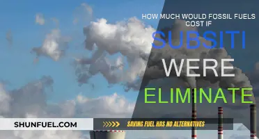 The True Cost of Fossil Fuels Revealed