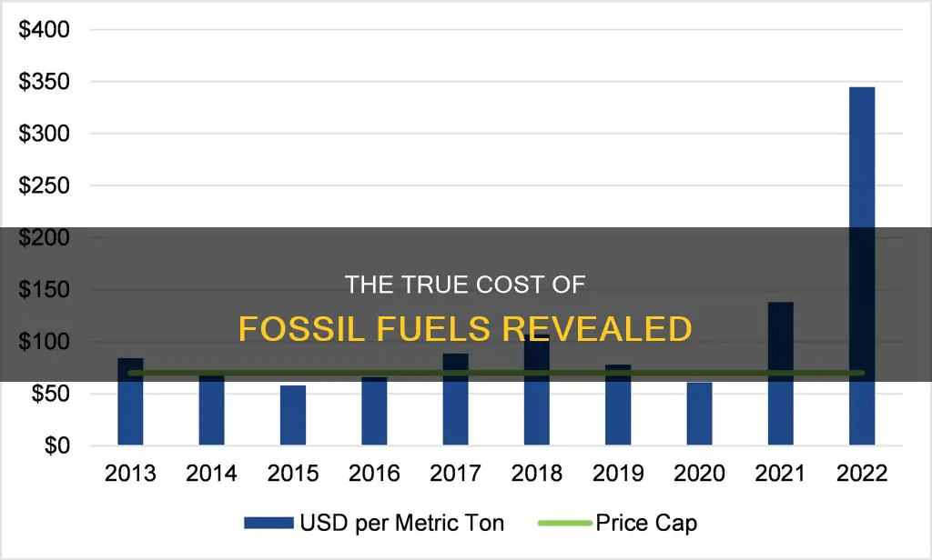 how much would fossil fuels cost if subsities were eliminated