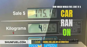 The True Cost of Alternative Fuels for Cars