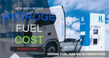 Hydrogen Fuel: The Cost of a Green Future