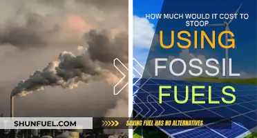 The High Price of Kicking Fossil Fuels