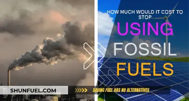 The Cost of Kicking Fossil Fuels to the Curb
