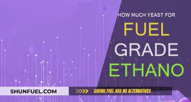 Yeast and Fuel: Making Ethanol Efficiently