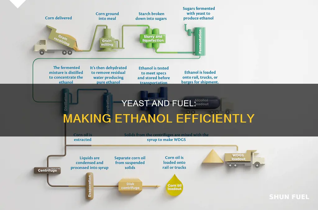 how much yeast for fuel grade ethanol
