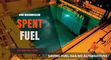 Understanding the Volume and Management of Nuclear Spent Fuel