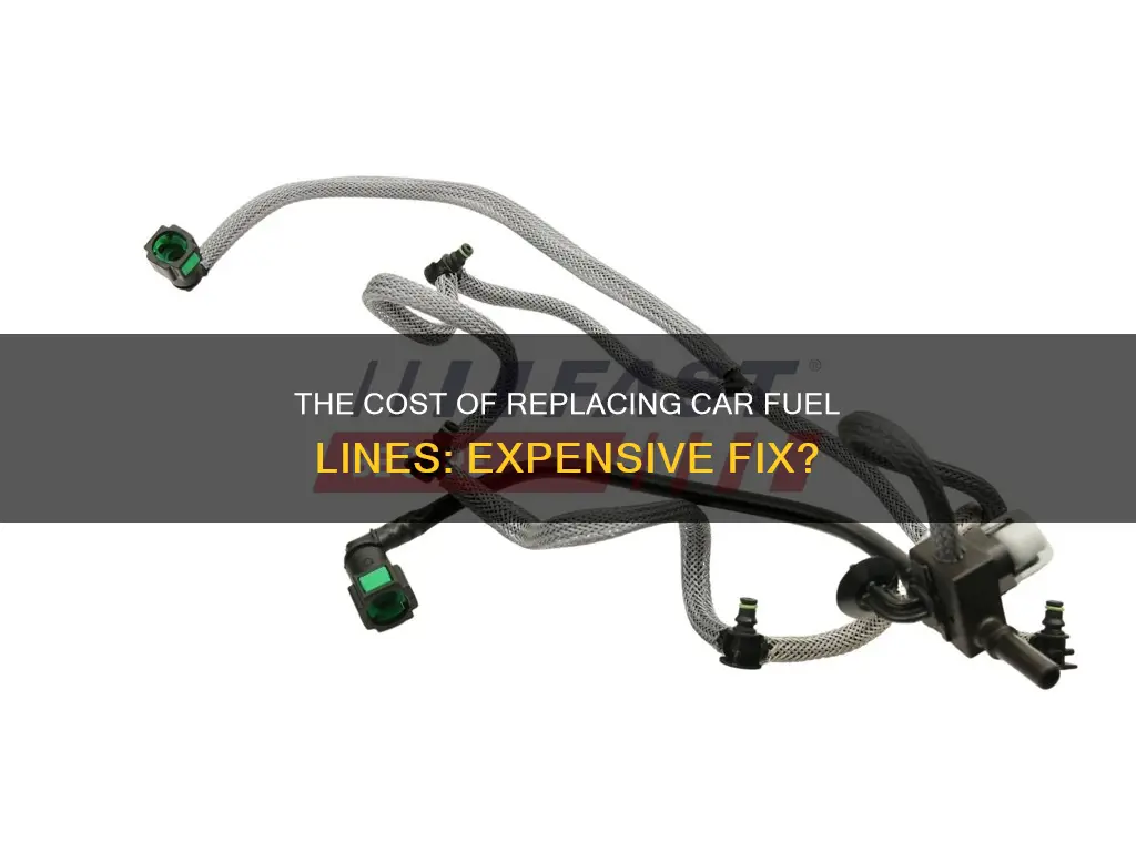 how muco does it cost to replace car fuel line