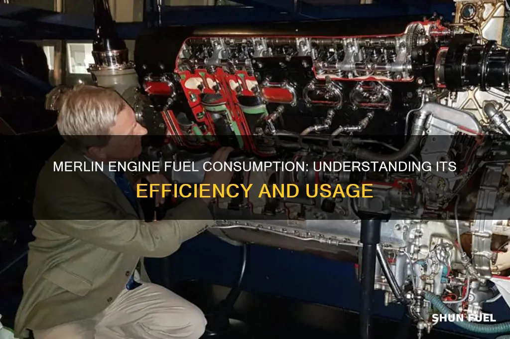 how muich fuel does a merlin engine use