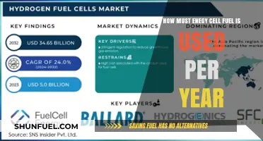 Annual Fuel Cell Energy Consumption: Usage and Trends Revealed