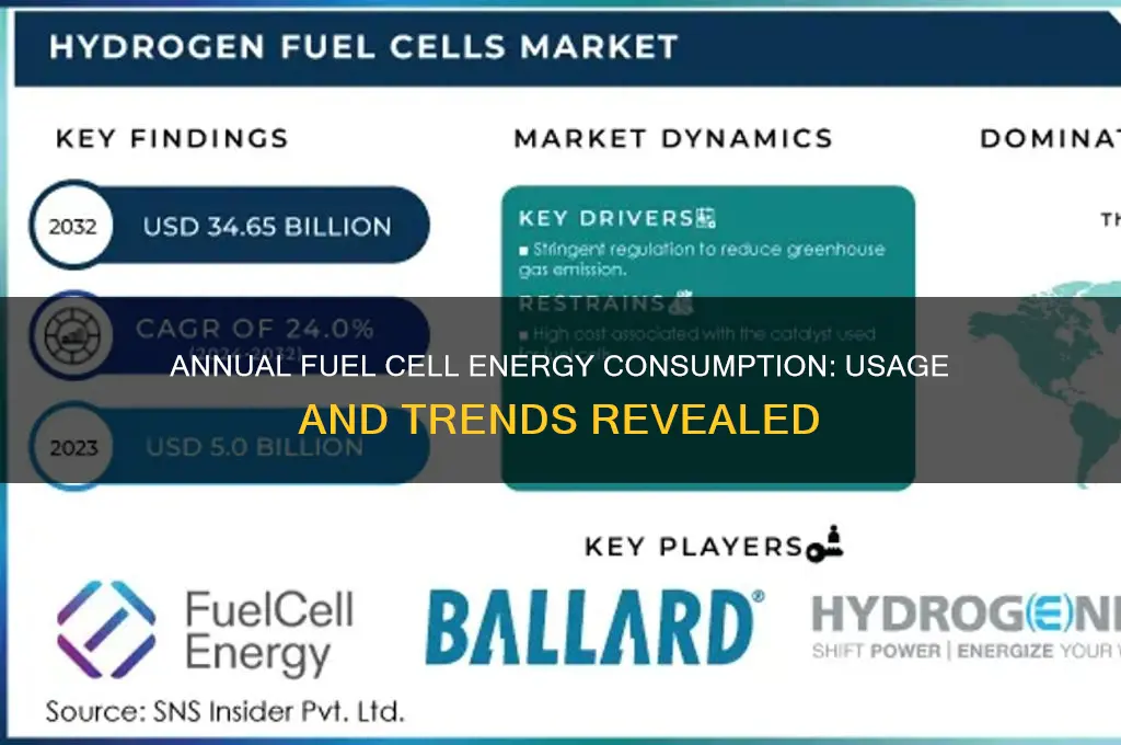 how must enegy cell fuel is used per year