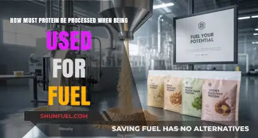 Maximizing Protein Processing for Optimal Fuel Utilization in the Body