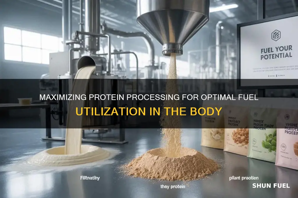 how must protein be processed when being used for fuel